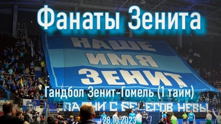 Фанаты Зенита (1 тайм) гандбол Зенит-Гомель