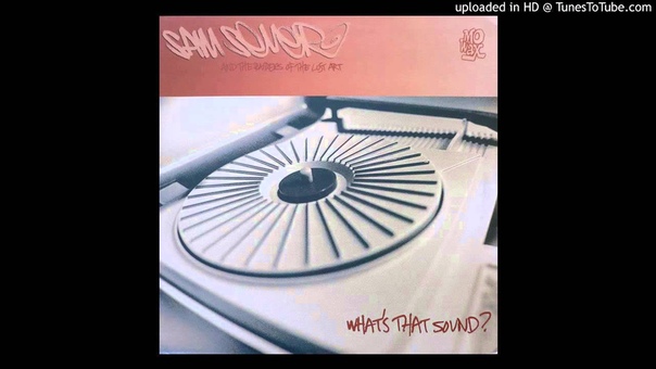 Sam Sever And The Raiders Of The Lost Art Whats That Sound ( Fucked Up Sound) ( Dub