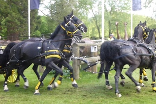 BOWMAN Barnaby, GBR, RWHS 2016 CAIO4, Windsor GB, Horse Four in Hand, Marathon O 7,14 05 2016