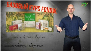 Кордицепс, эликсир феникс, линчжи (Базовый курс) FOHOW