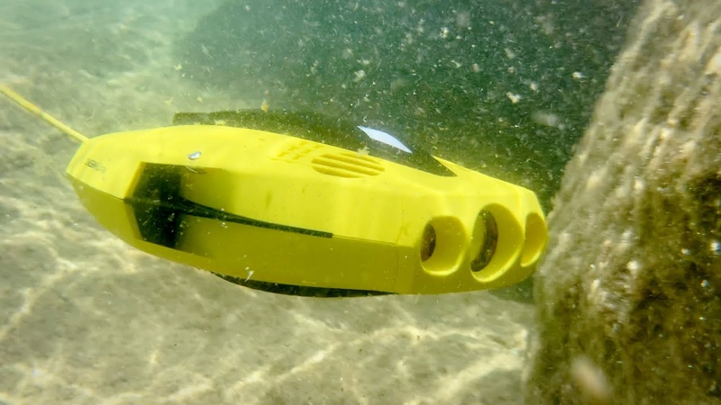 Chasing Dory: An affordable underwater
