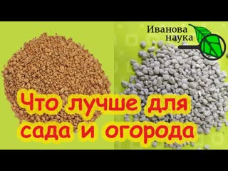 КАК ПРАВИЛЬНО ИСПОЛЬЗОВАТЬ ГНИЛОЙ КАМЕНЬ В САДУ и ОГОРОДЕ. Трепел или диатомит: что лучше