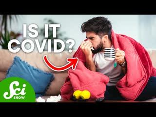 Covid or Allergies What's Happening to Your Body