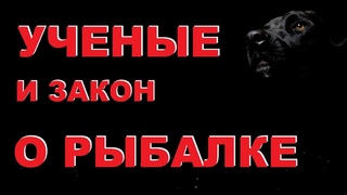 РЕЗУЛЬТАТ УЧЕНЫХ поражает / Выживает ли рыба если ловить по ПРАВИЛАМ ЗАКОНА О РЫБАЛКЕ