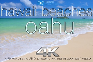 HAWAII BEACHES in 4K: Oahu | Nature Relaxation™ Dynamic 90 Min Video UHD