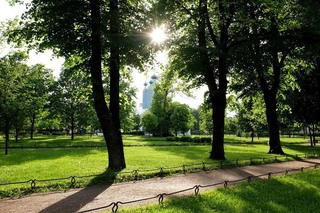 выборгский сад санкт петербург. выборгский сад спб. выборгский сад спб. выборгский сад спб. выборгский сад санкт петербург.