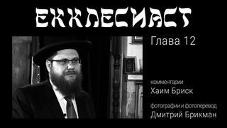 Хаим Бриск. Комментарии к Екклесиаст. Глава 12