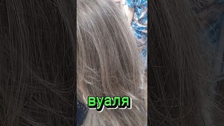 20 июня 2024 г.