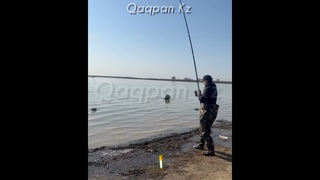 ТҮРКІСТАН ОБЛЫСЫ | ШАРДАРА СУ ҚОЙМАСЫ | САЗАН балық аулау 🎣🎣🎣 26/03/2024 🎏🎏🎏