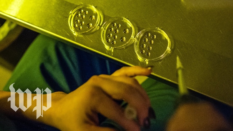 Life on hold: how the pandemic has stalled fertility