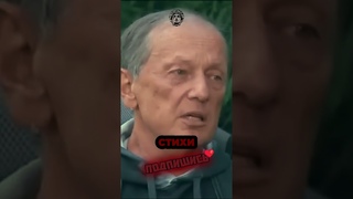 Михаил Задорнов об отношениях #motivation #мудрость #shorts
