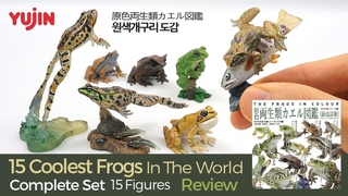 15 Coolest Frogs In The World /   /    for Kids Miniature Figures