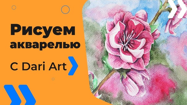 Как нарисовать цветы сакуры акварелью , Dari Art,