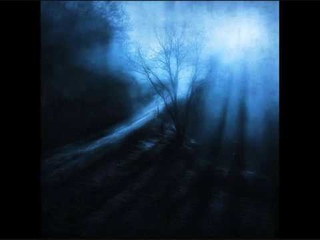 Velvet Cacoon ~ Nocturnal Carriage
