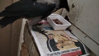 магический  прогноз погоды от волшебника Ивана Ивановича Кулебякина из Москвы 4 августа