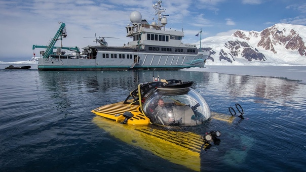 The Deepest Dive in Antarctica Reveals a Sea Floor Teeming With