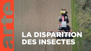 Insecticide - Comment l'agrochimie a tu les insectes | ARTE