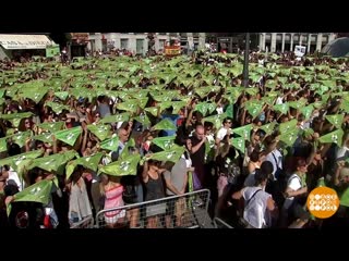 Вмире. Противники боя быков. Доброе утро. Фрагмент выпуска от