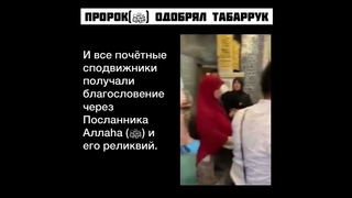 Шейх Джамиль Хьалим