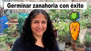 Tus zanahorias no germinan Simbralas as.