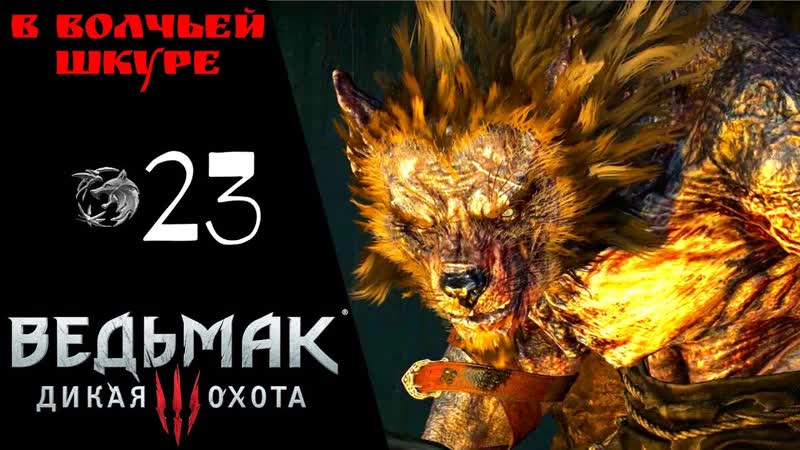 Прохождение Ведьмак 3 Дикая охота В волчьей шкуре,