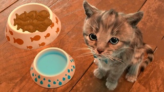 Приключение крошки котенка. Смешные наряды на вечеринку к друзьям