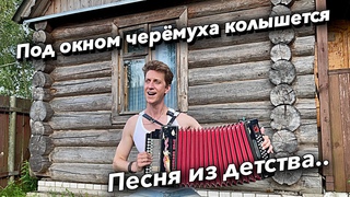 Песня, которую люблю с детства “Под окном черёмуха колышется“.