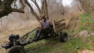 Мотоблок на заготовке дров / Бездорожье/ Въехали в дерево/ walk-behind tractor carries wood