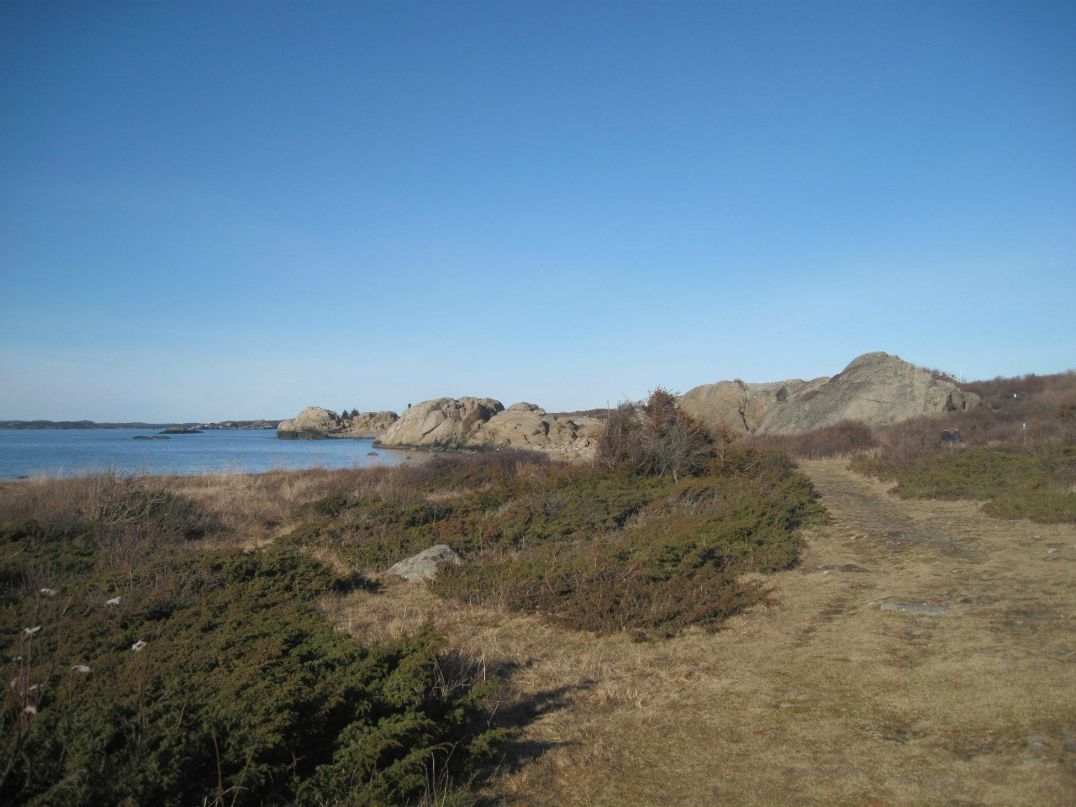 Елена Карлсен | Tønsberg