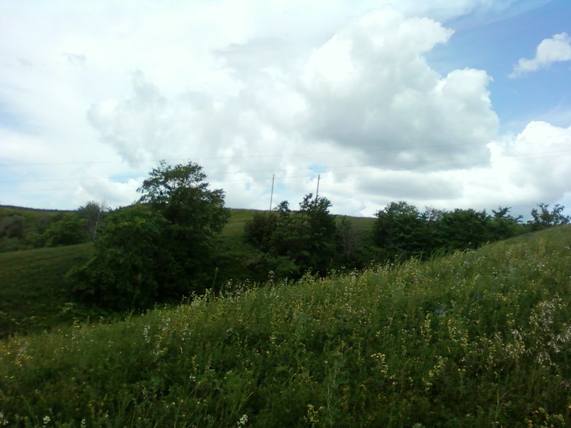 Катюшка Степанова | Чеганда