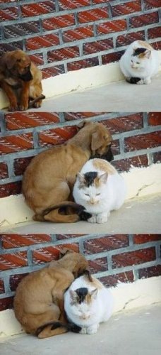 №4, Богдан Слюсар, 40 лет, Одесса №4, Богдан Слюсар, 40 лет, Одесса