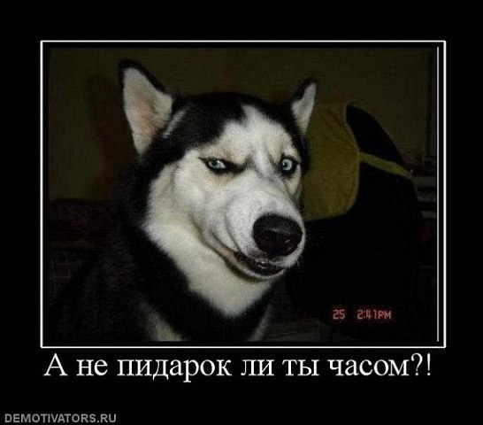 Алексей Лавин | Сургут