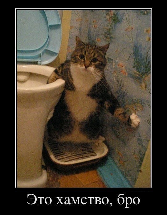 Вячеслав Дмитриев | Санкт-Петербург