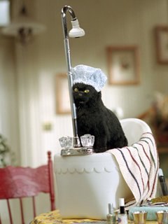 Ольга Андреевна | Верхняя Пышма