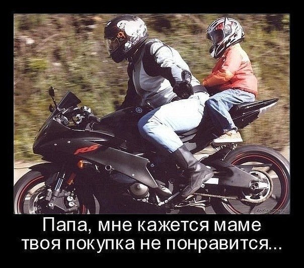 Zizik Chum | Львов