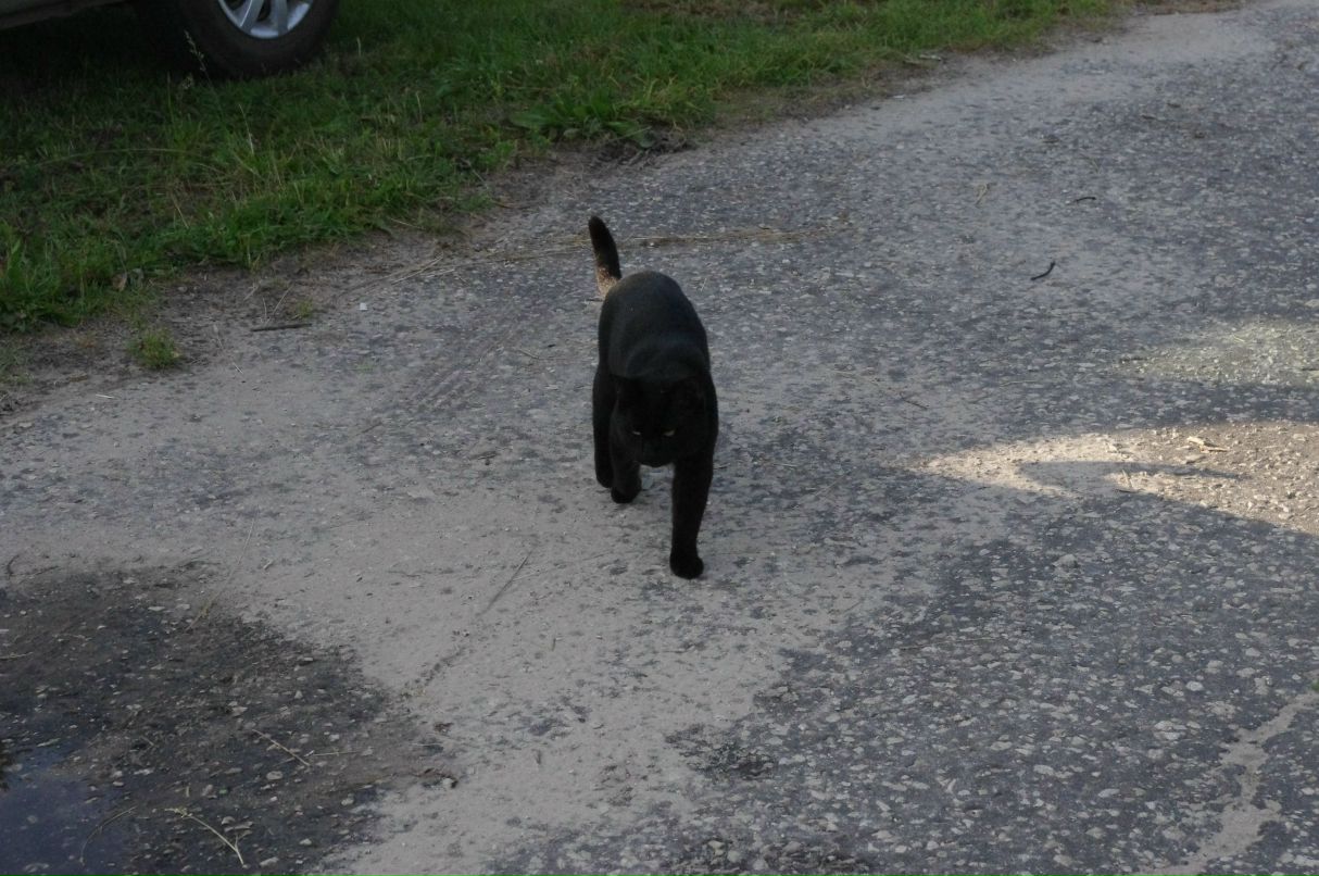 Данёк Исаев | Москва