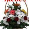 Аватар: Uopi Iop