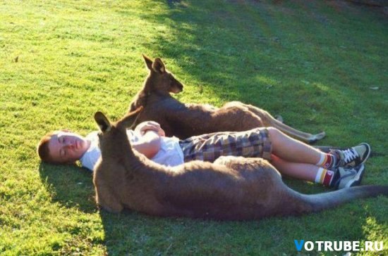 №26, Лилия Волошина, 36 лет, Алматы, Казахстан №26, Лилия Волошина, 36 лет, Алматы, Казахстан