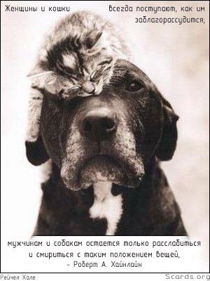 №75, Елизавета Воробей, 22.1.1991, Брест №75, Елизавета Воробей, 22.1.1991, Брест