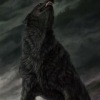 Аватар: Valera Wild