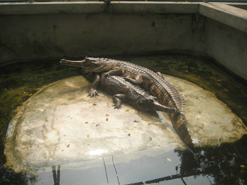 Алексей Маракин | Белгород