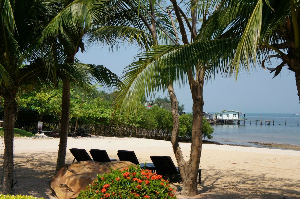 Анюта Кудряшка ✿ ܓs*iy ✿ ܓ | Новосибирск