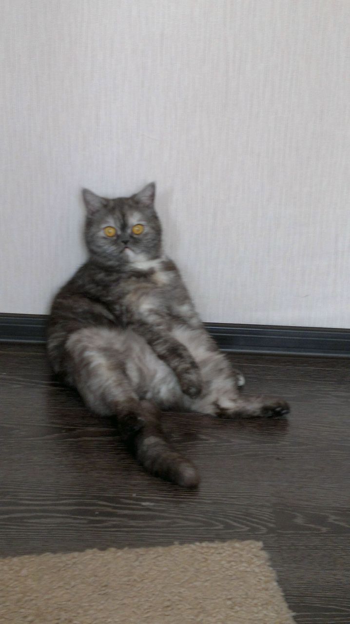 Мариша Зайцева | Новосибирск