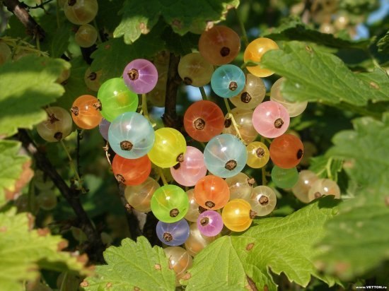 Екатерина Загоскина | Йошкар-Ола