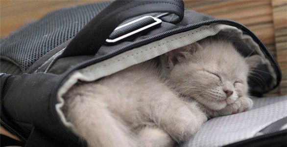 Лариса Пучкова | Новодвинск