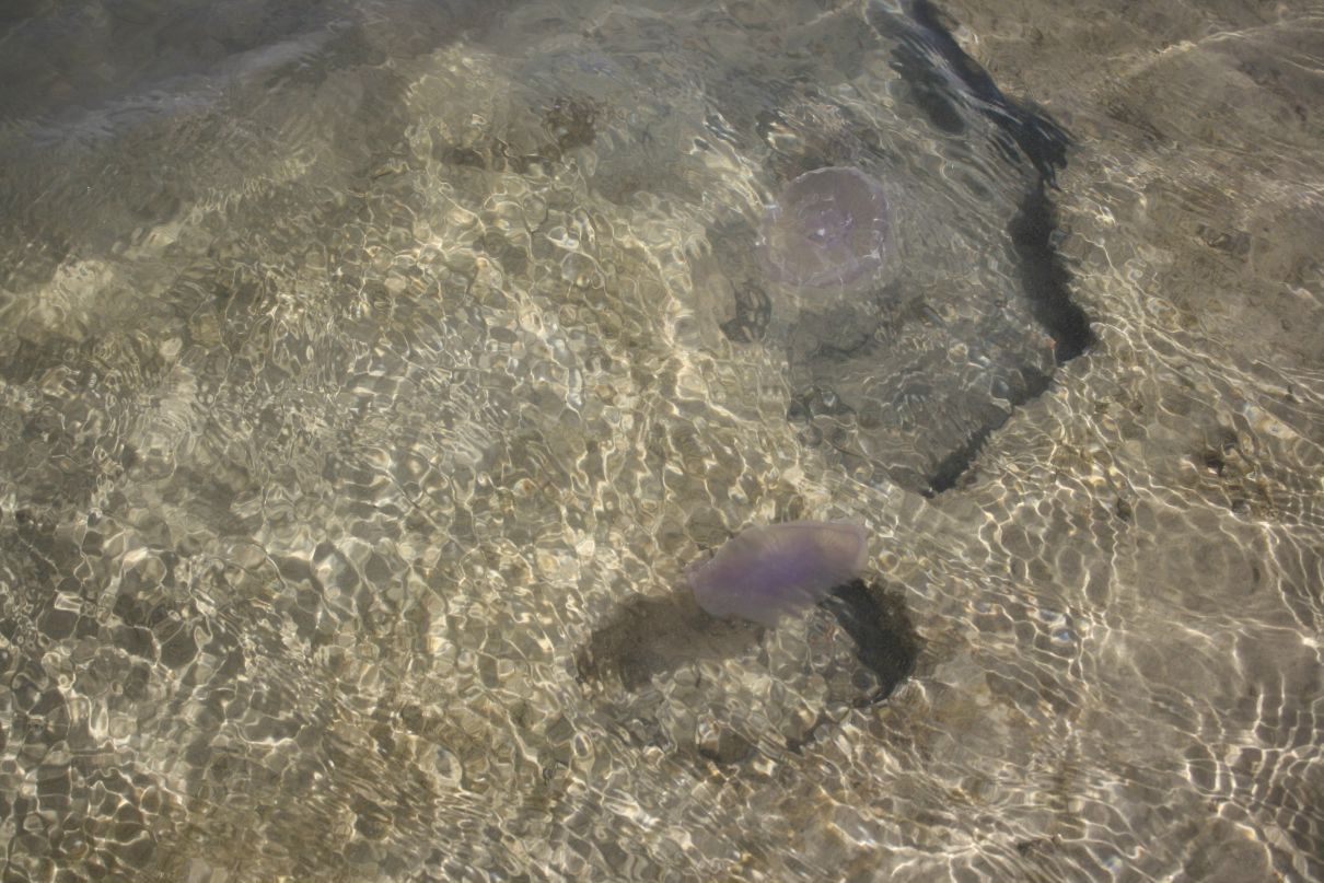 Мария Старостина | Санкт-Петербург