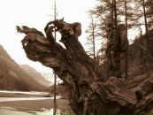 Фотография Юрий Поскотинов