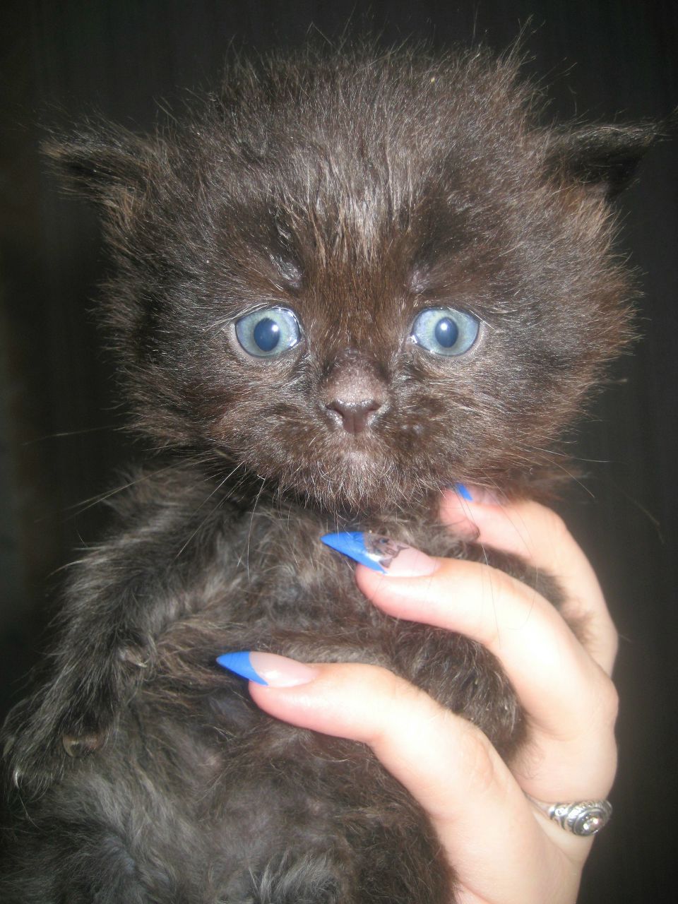 Аня Минакова | Воронеж