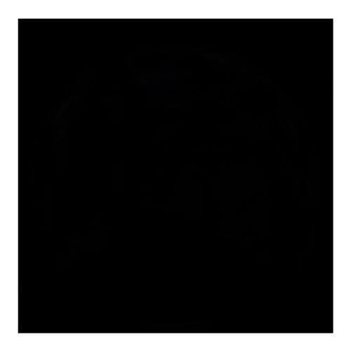 Илья Моисеенко андреевич | Новосибирск