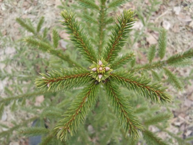 Алексей Бисько | Киев